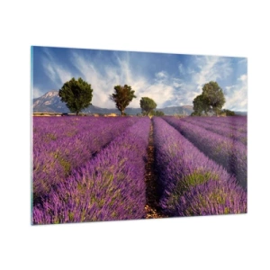 Cuadro sobre vidrio - Impresiones sobre Vidrio - Un campo de lavanda con árboles y un fondo de montañas. - 100x70cm - Campos de lavanda - Decoración de pared moderna para salón y dormitorio ARTTOR