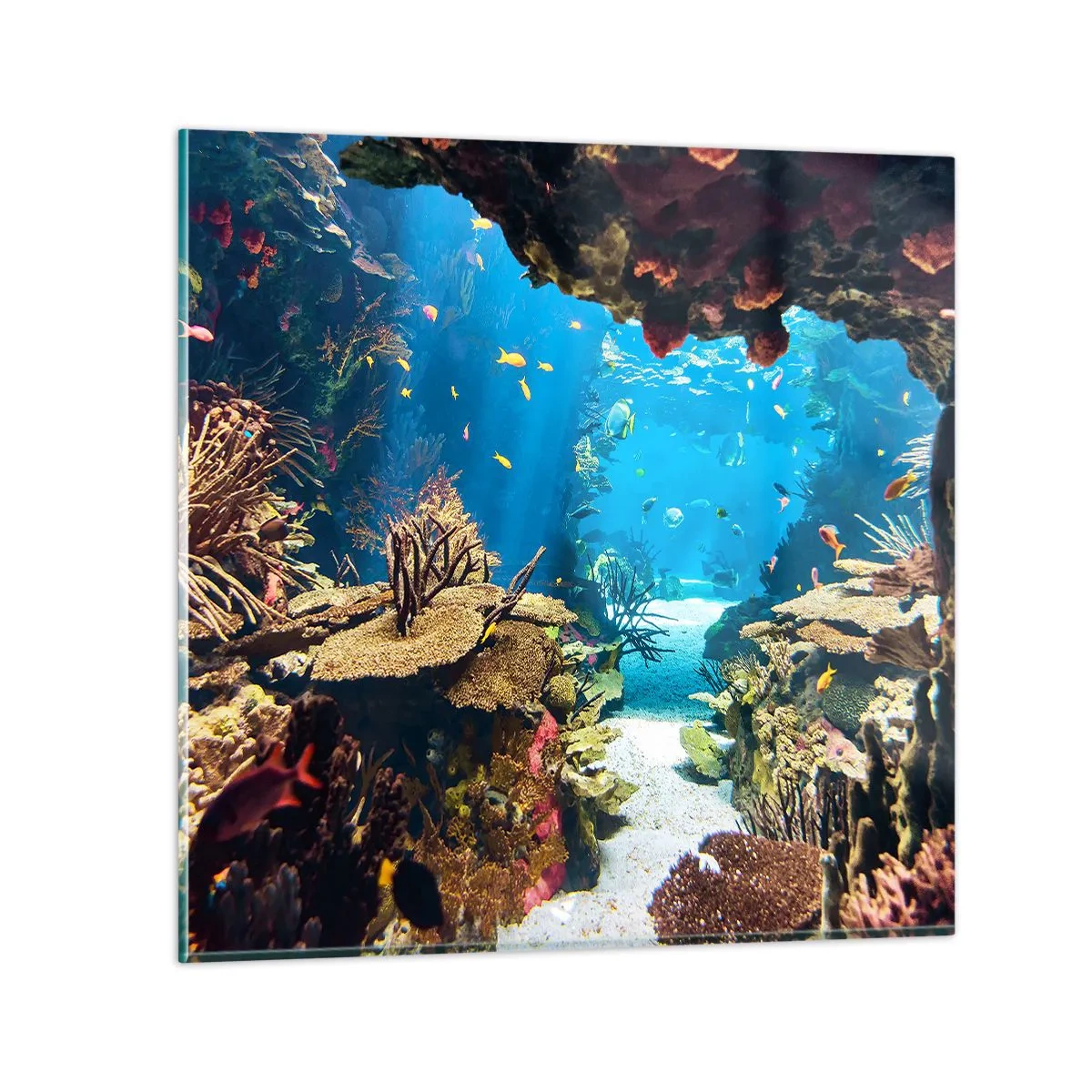 Cuadro sobre vidrio - Impresiones sobre Vidrio - Ni siquiera has soñado - 70x70 cm