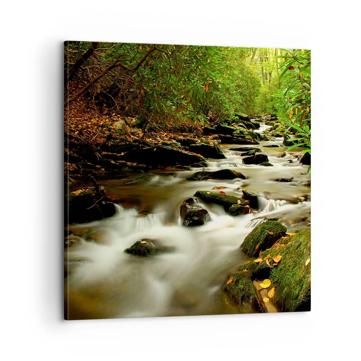 Cuadro sobre lienzo - Impresión de Imagen - Como plata líquida - 60x60 cm
