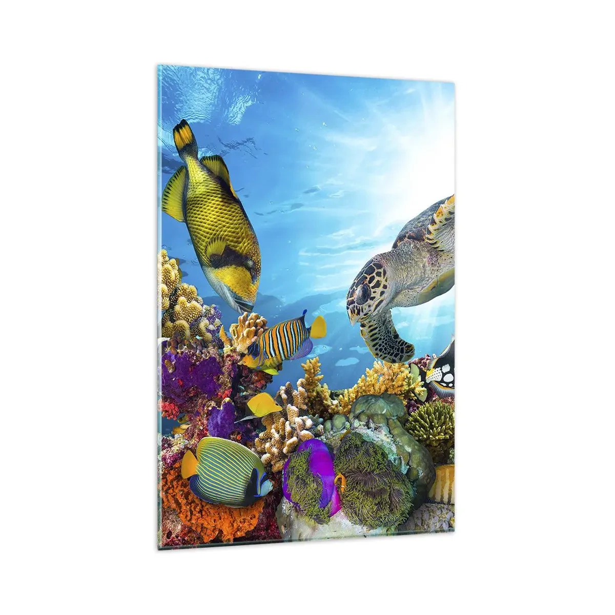 Cuadro sobre vidrio - Impresiones sobre Vidrio - Mundo submarino con peces de colores y una tortuga en el coral. - 80x120cm - Paseo del coral - Decoración de pared moderna para salón y dormitorio ARTTOR
