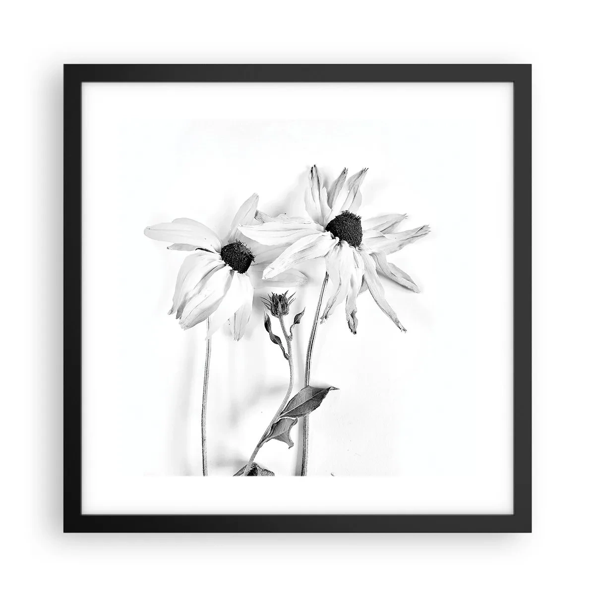 Póster en marco negro - Nadie quiere estar solo - 40x40 cm