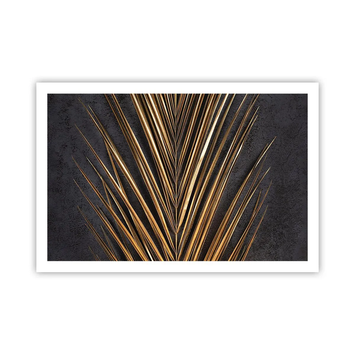 Póster - El oro de los trópicos - 91x61 cm