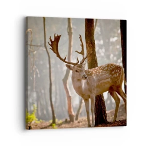 Cuadro sobre lienzo - Impresión de Imagen - La luz de la juventud - 30x30 cm