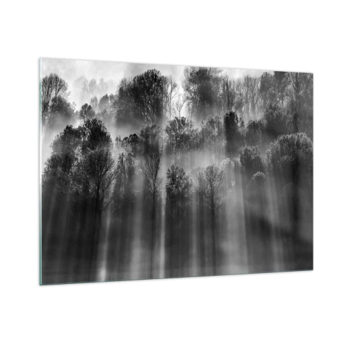 Cuadro sobre vidrio - Impresiones sobre Vidrio - Rayos de luz blancos y negros penetrando el bosque. - 100x70cm - En los flujos de luz - Decoración de pared moderna para salón y dormitorio ARTTOR