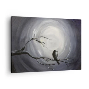 Cuadro sobre lienzo - Impresión de Imagen - Pájaro negro en una rama a la luz de la luna - 70x50cm - La clave del misterio de la noche - Decoración de pared moderna para salón y dormitorio ARTTOR