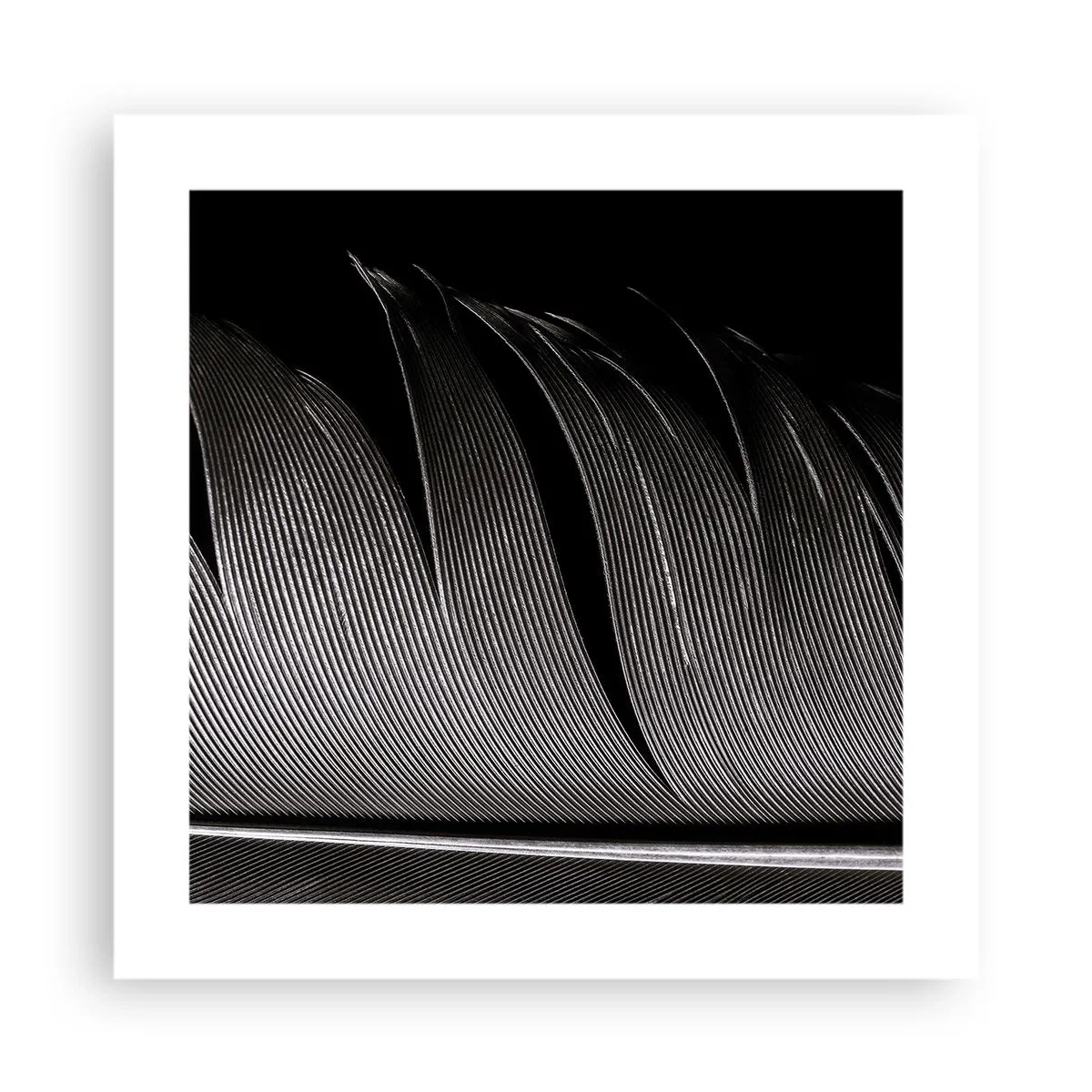 Póster - Pluma - una construcción maravillosa - 40x40 cm