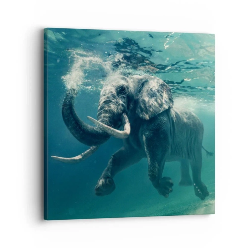 Cuadro sobre lienzo - Impresión de Imagen - A todos nos gusta nadar - 30x30 cm
