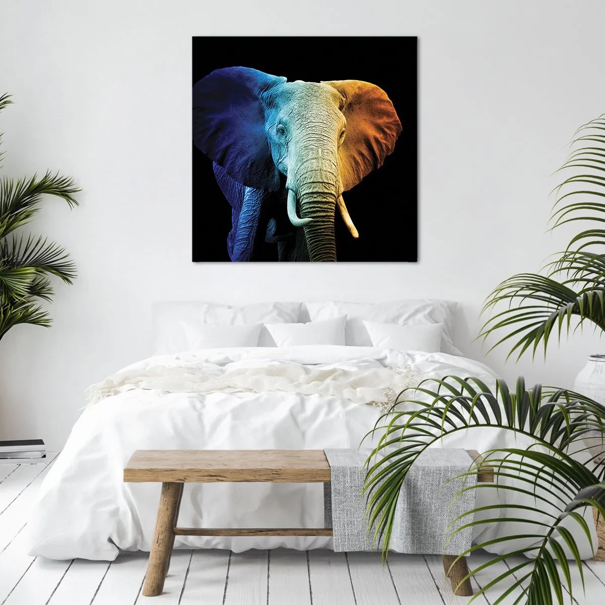 Cuadro sobre lienzo - Impresión de Imagen - Excéntrico, no un bicho raro - 40x40 cm