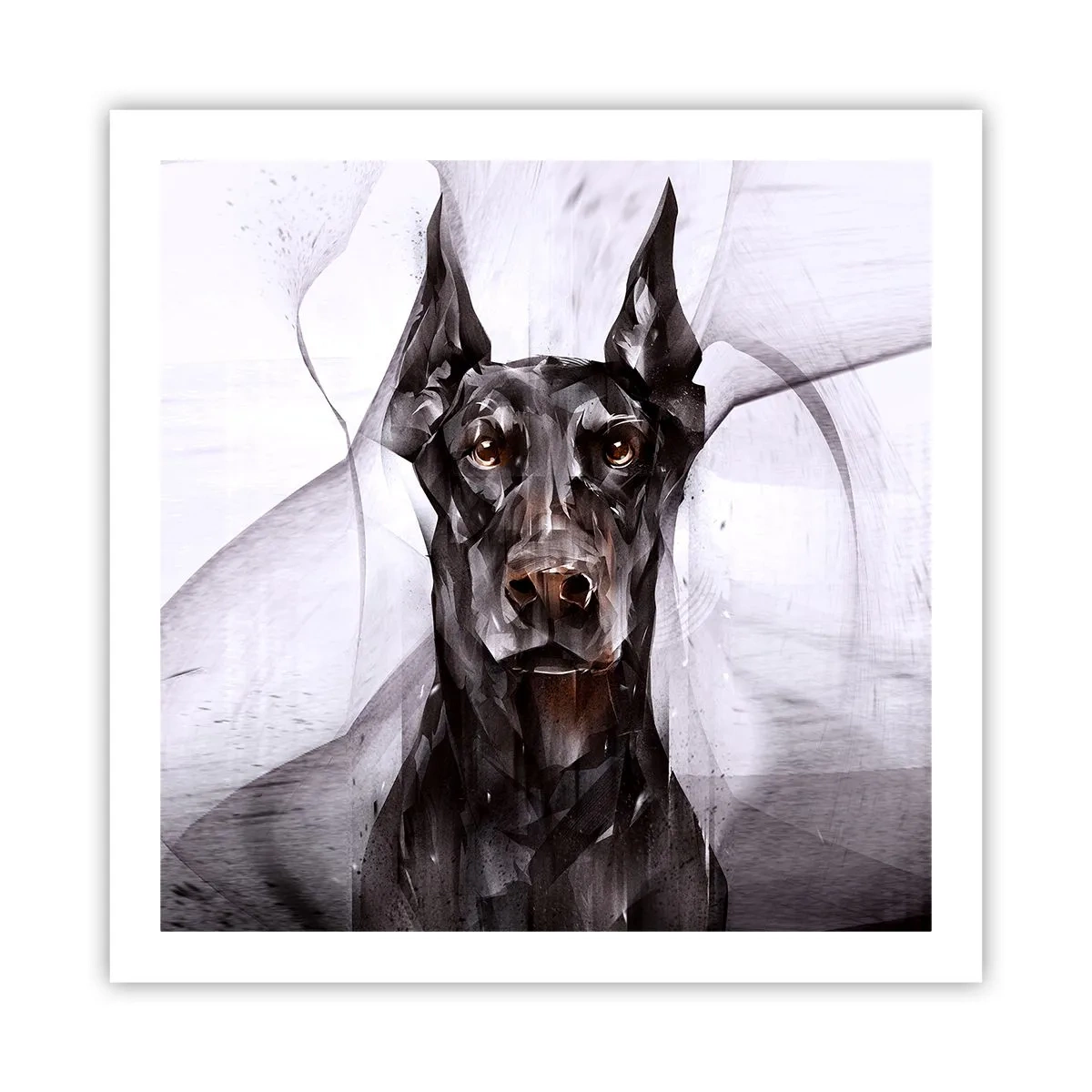 Póster - Nacido noble - 60x60 cm