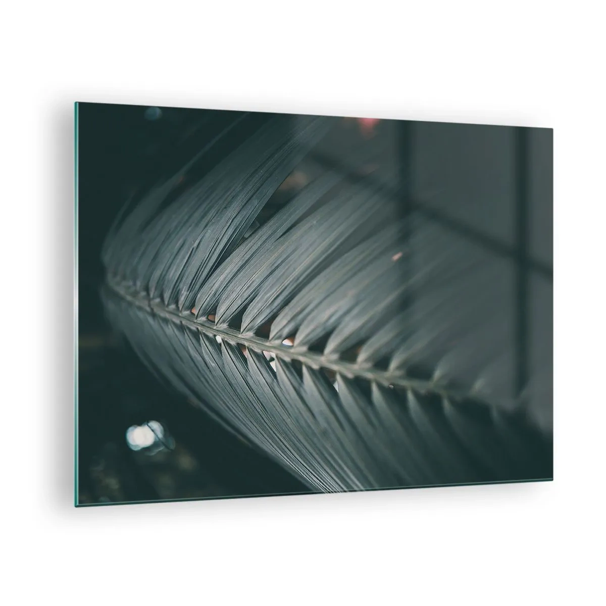 Cuadro sobre vidrio - Impresiones sobre Vidrio - Primer plano de una hoja de palma verde oscuro con reflejo de luz. - 70x50cm - La precisión de la naturaleza - Decoración de pared moderna para salón y dormitorio ARTTOR