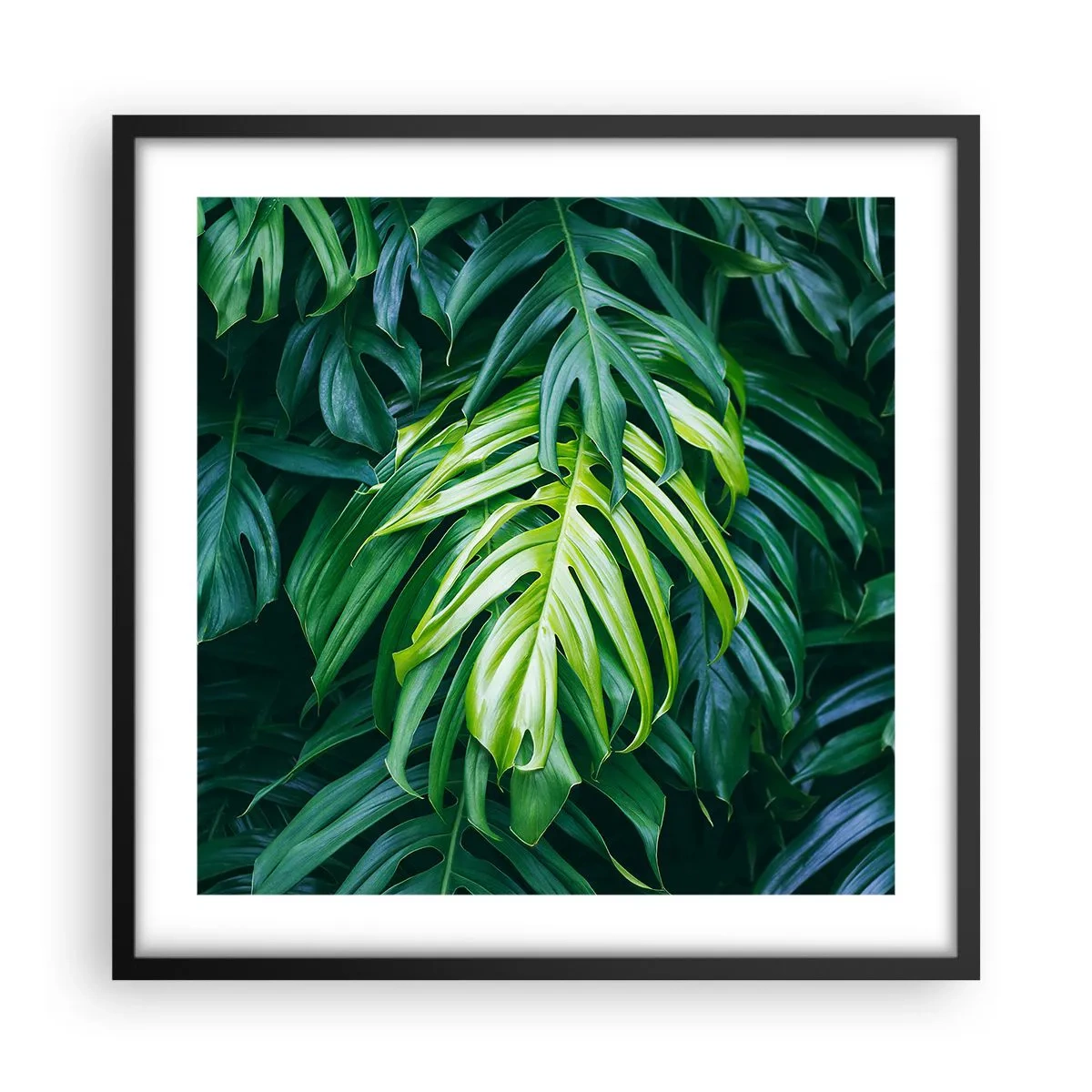 Póster en marco negro - Sumérjase en la frescura - 50x50 cm