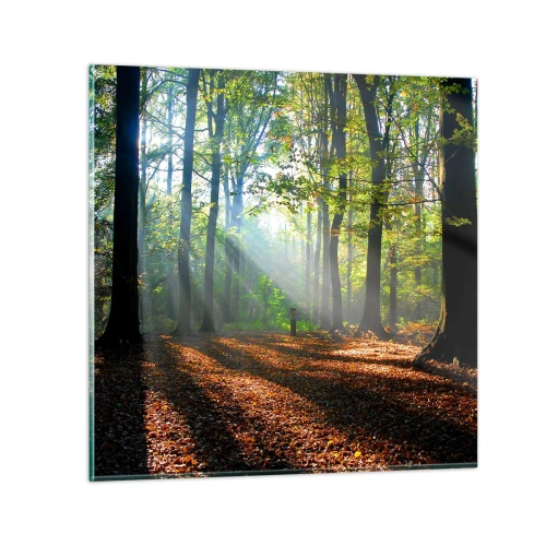 Cuadro sobre vidrio - Impresiones sobre Vidrio - Resplandores y sombras - 70x70 cm