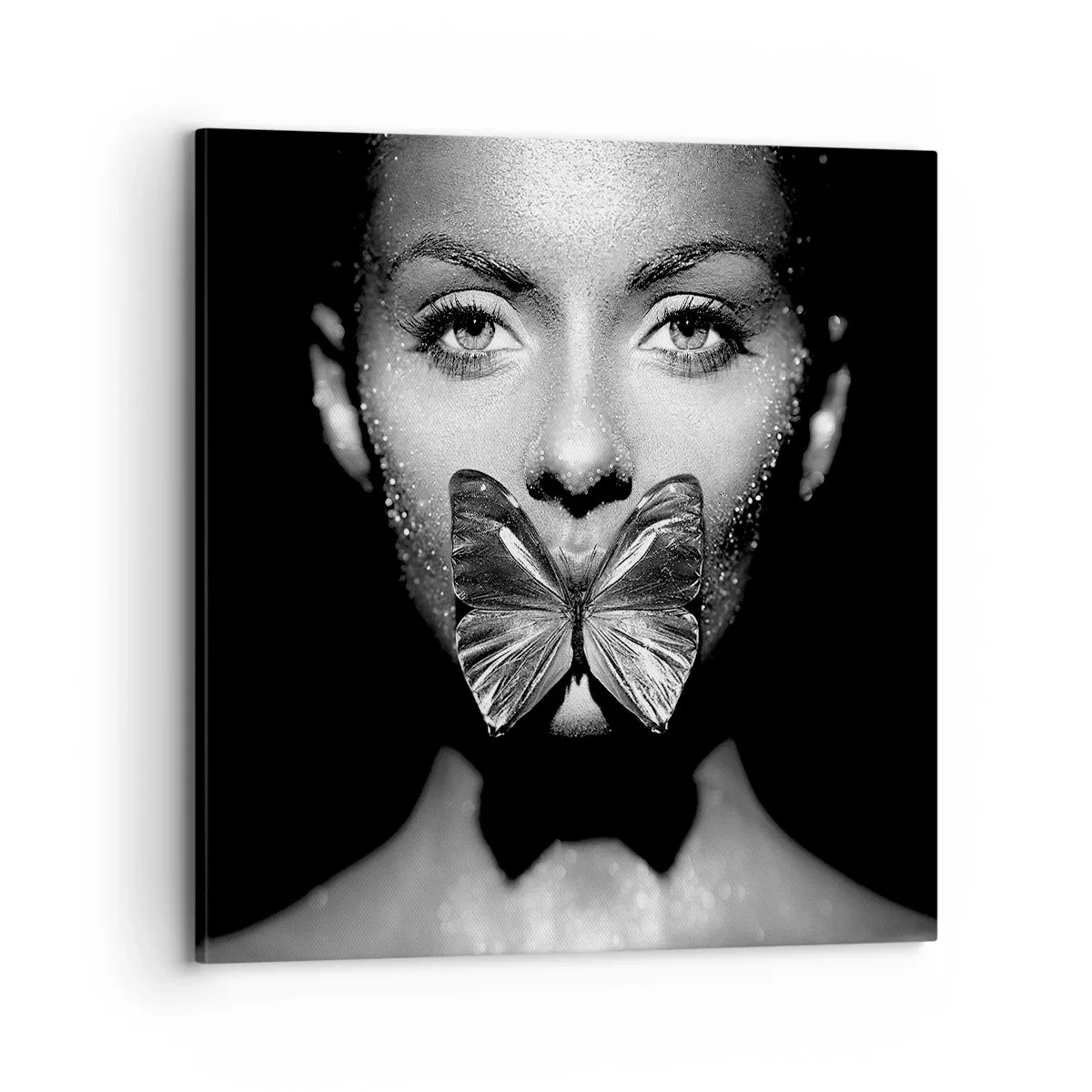 Cuadro sobre lienzo - Impresión de Imagen - Beso de mariposa - 70x70 cm