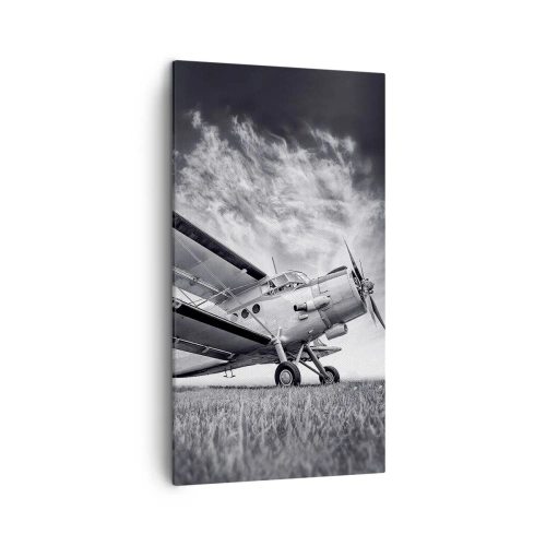 Cuadro sobre lienzo - Impresión de Imagen - El vagamundo alado - 45x80 cm