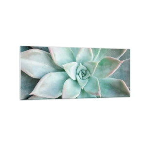 Cuadro sobre vidrio - Impresiones sobre Vidrio - Primer plano de una suculenta verde - 120x50cm - El corazón del desierto - Decoración de pared moderna para salón y dormitorio ARTTOR