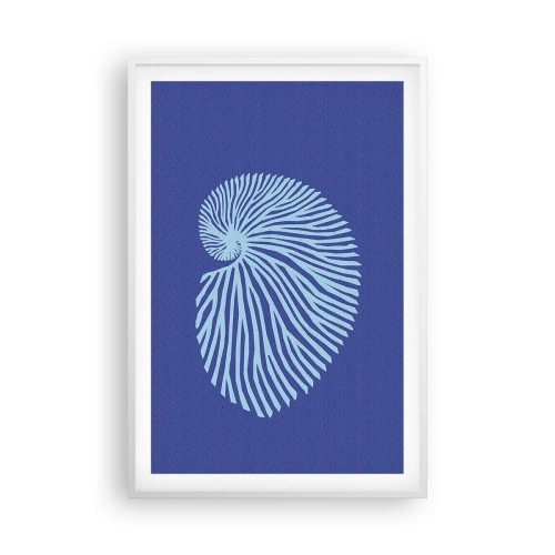 Póster en marco blanco - Nacimiento de una concha - 61x91 cm