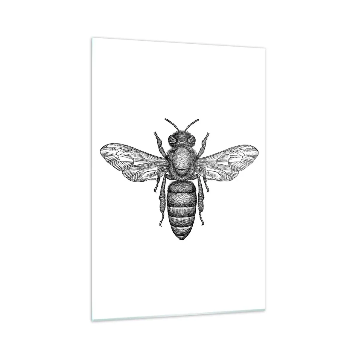 Cuadro sobre vidrio - Impresiones sobre Vidrio - Un motivo de abeja de dibujos animados sobre un fondo blanco en un estilo minimalista. - 70x100cm - Retrato de insecto - Decoración de pared moderna para salón y dormitorio ARTTOR