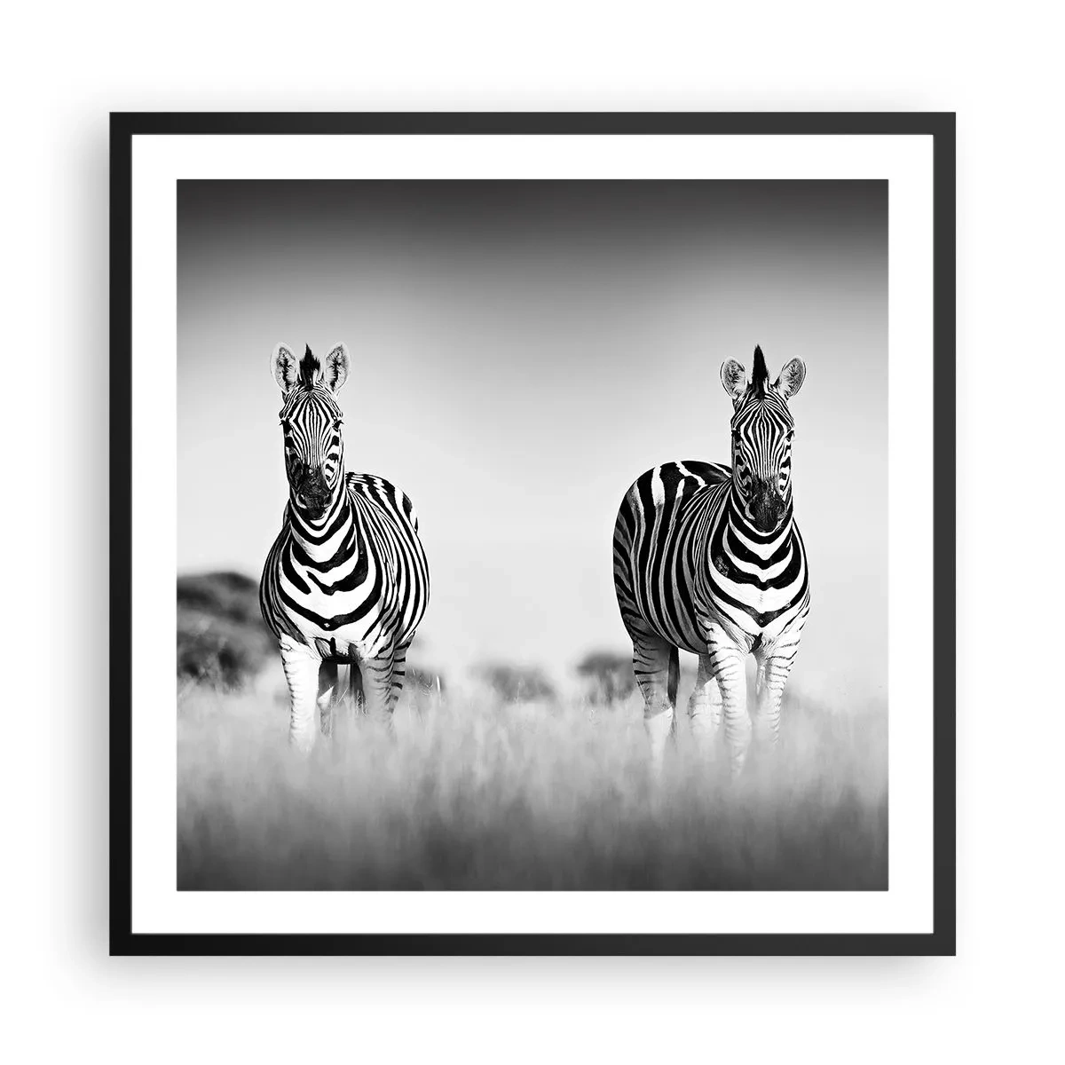 Póster en marco negro - Resulta que el mundo es blanco y negro - 60x60 cm