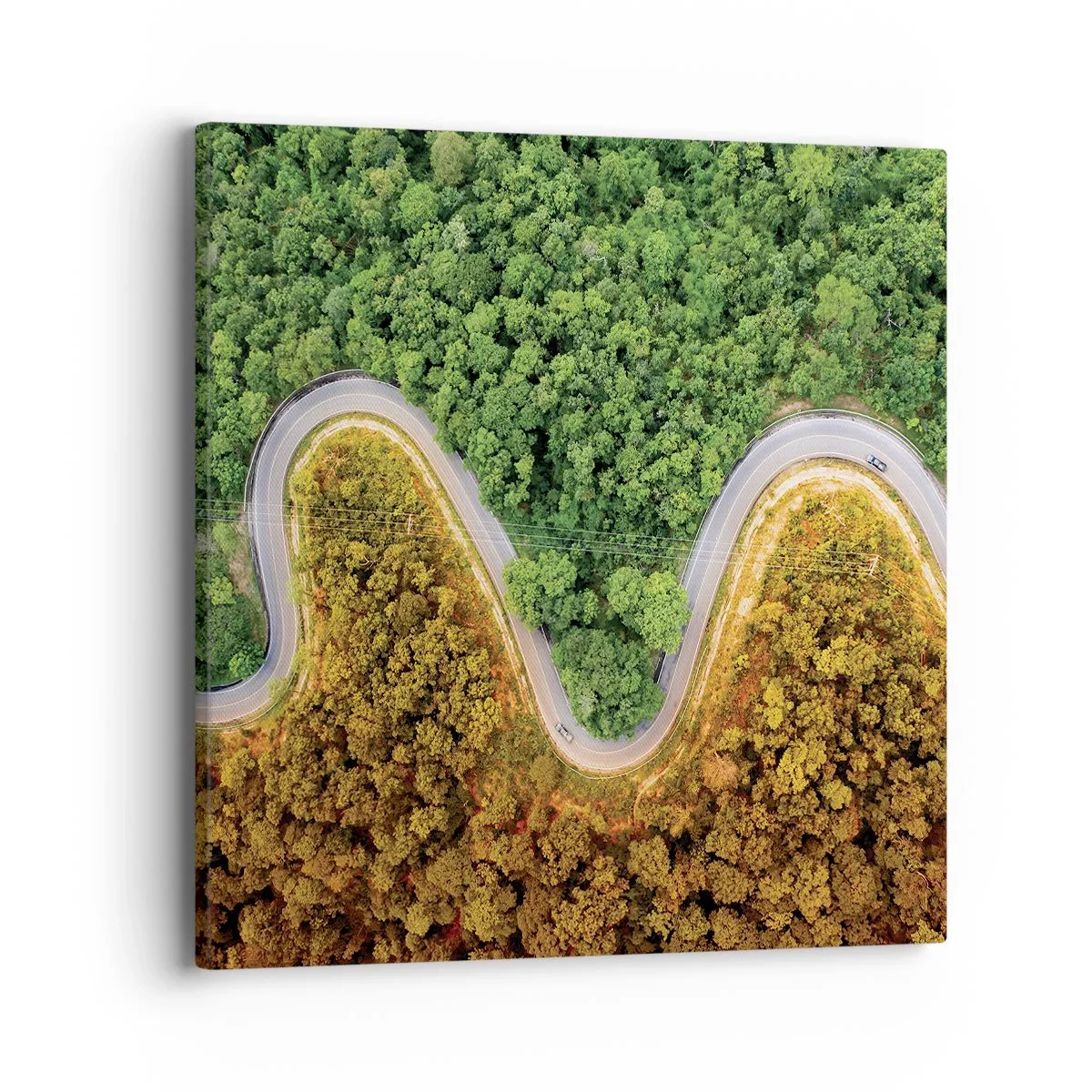 Cuadro sobre lienzo - Impresión de Imagen - Frontera serpenteante - 40x40 cm