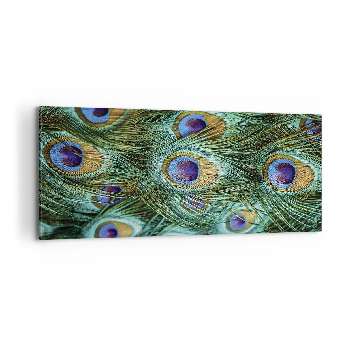 Cuadro sobre lienzo - Impresión de Imagen - Mirada de pavo real - 100x40 cm