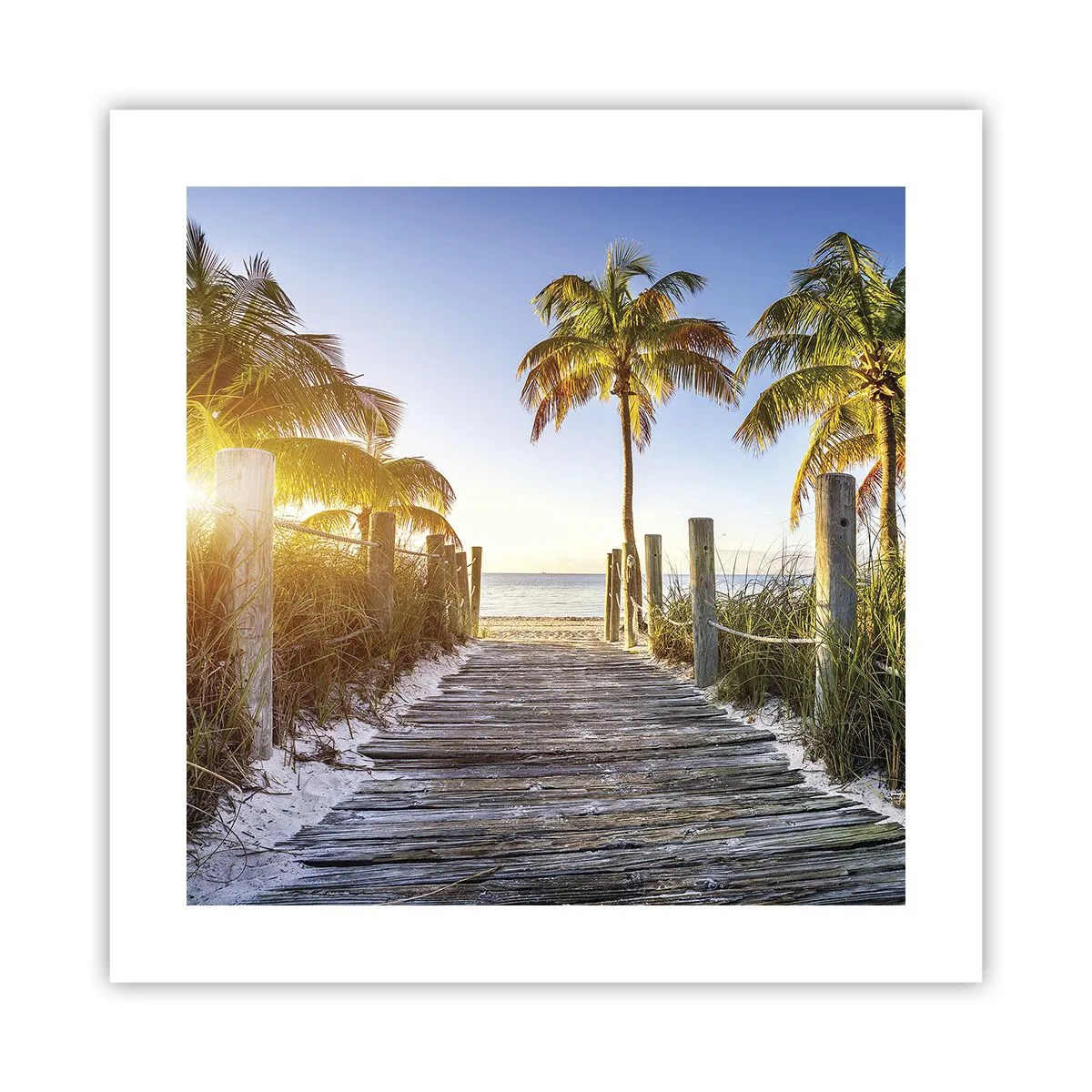 Póster - Directo al paraíso - 40x40 cm