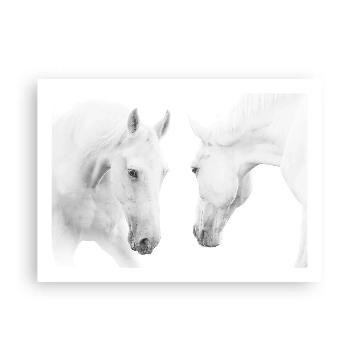 Póster - ¿Es esto realmente la amistad...? - 70x50 cm