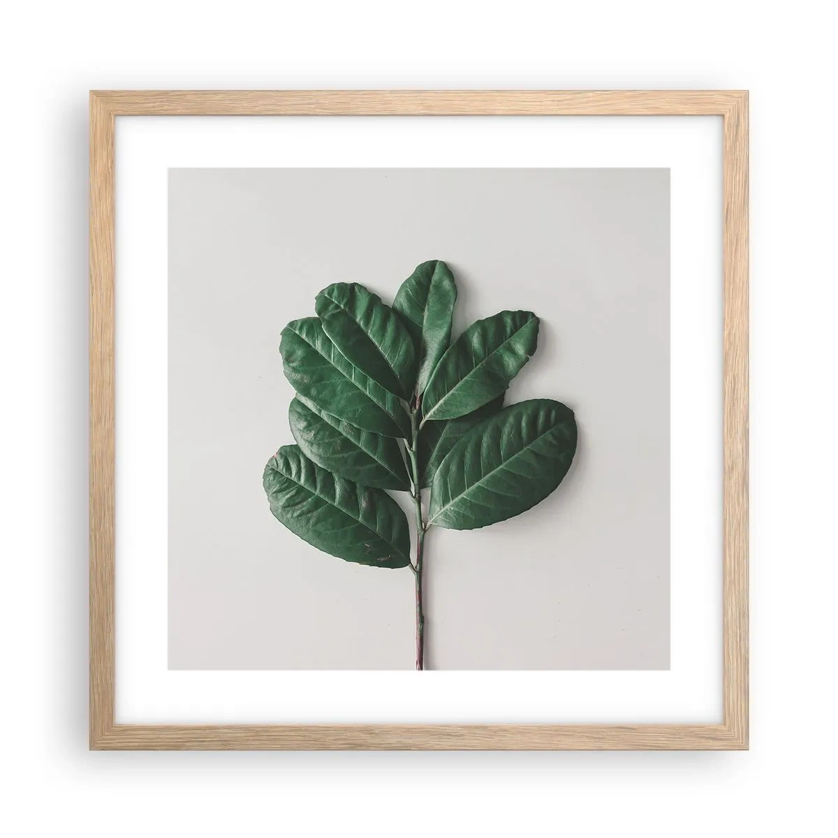 Póster en marco roble claro - El dibujo de la propia naturaleza - 40x40 cm