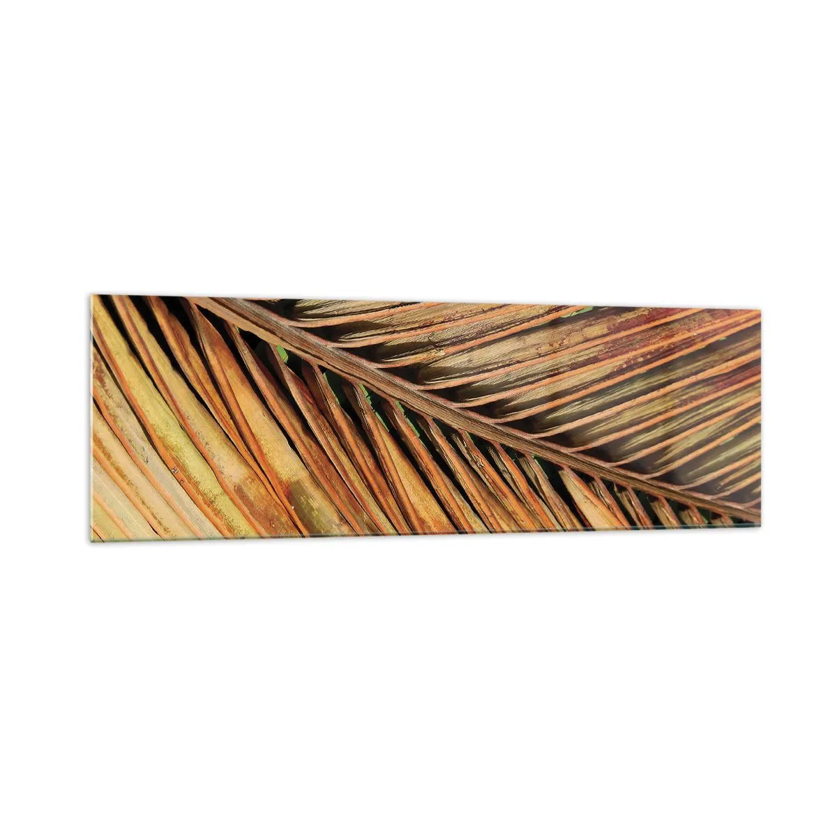 Cuadro sobre vidrio - Impresiones sobre Vidrio - Primer plano de una hoja de palma seca en tonos cálidos. - 160x50cm - Oro de coco - Decoración de pared moderna para salón y dormitorio ARTTOR
