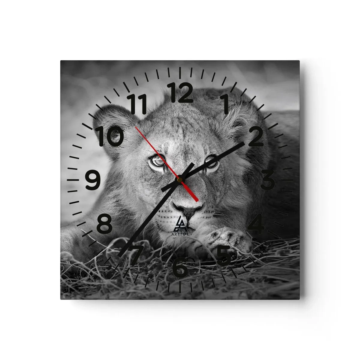 Reloj de pared - Reloj de vidrio - Un cachorro real - 30x30 cm