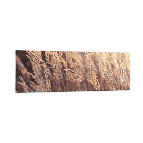 Cuadro sobre vidrio - Impresiones sobre Vidrio - Hierbas doradas con el sol poniente como telón de fondo - 160x50cm - Listos para dar la bienvenida al otoño - Decoración de pared moderna para salón y dormitorio ARTTOR