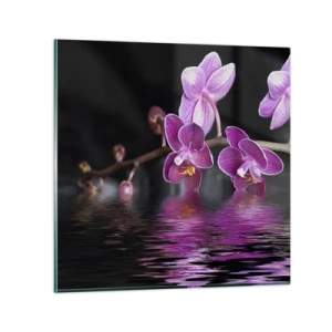 Cuadro sobre vidrio - Impresiones sobre Vidrio - Un reflejo lila de la belleza - 40x40 cm