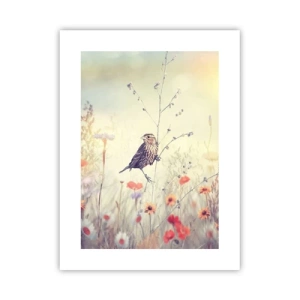 Póster - Retrato de pájaro con prado de fondo - 30x40 cm