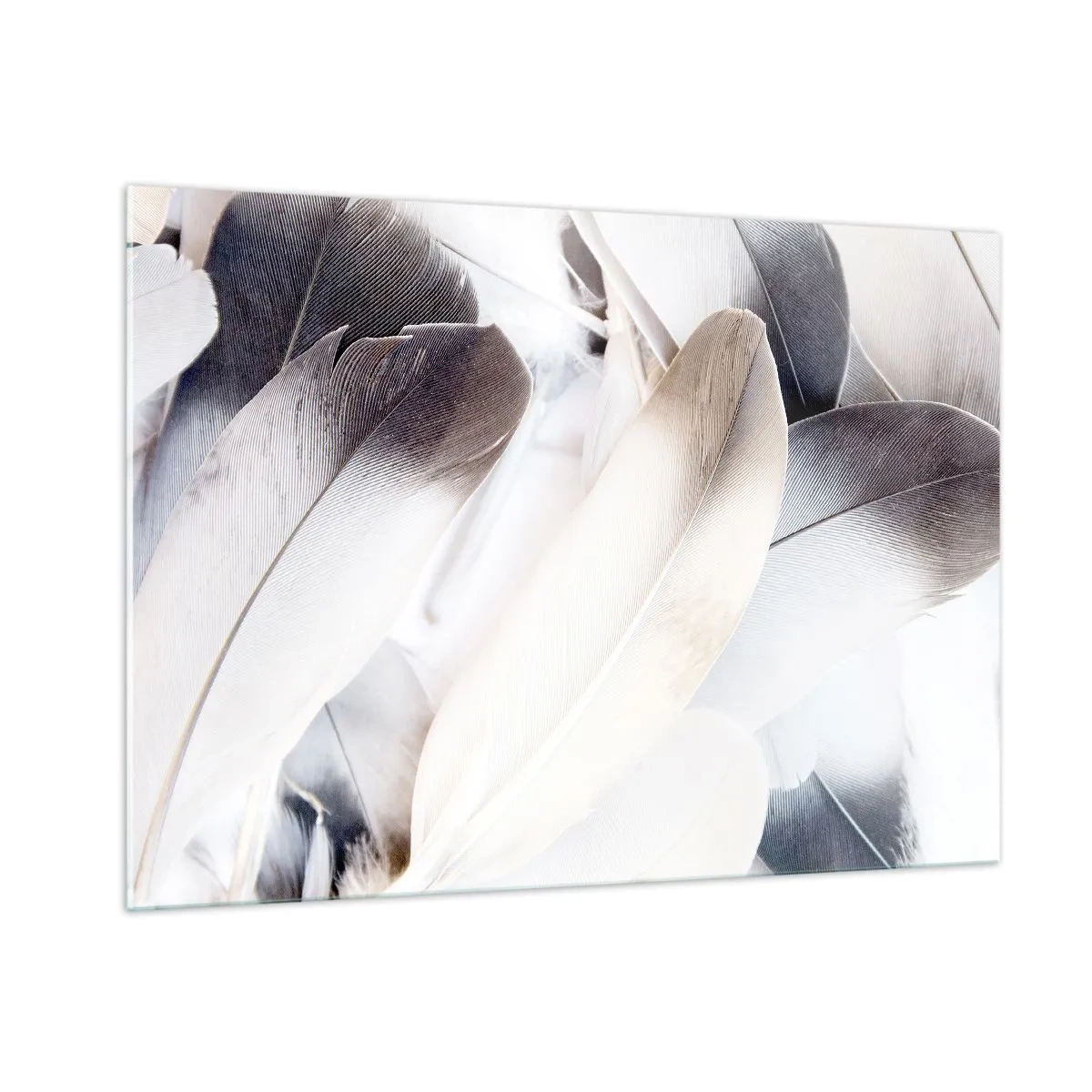 Cuadro sobre vidrio - Impresiones sobre Vidrio - Plumas delicadas y ligeras en tonos blancos y grises. - 100x70cm - Casi angelical - Decoración de pared moderna para salón y dormitorio ARTTOR