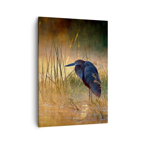 Cuadro sobre lienzo - Impresión de Imagen - Una garza en los humedales al atardecer entre hierbas altas. - 50x70cm - Dame un respiro con estas fotos - Decoración de pared moderna para salón y dormitorio ARTTOR