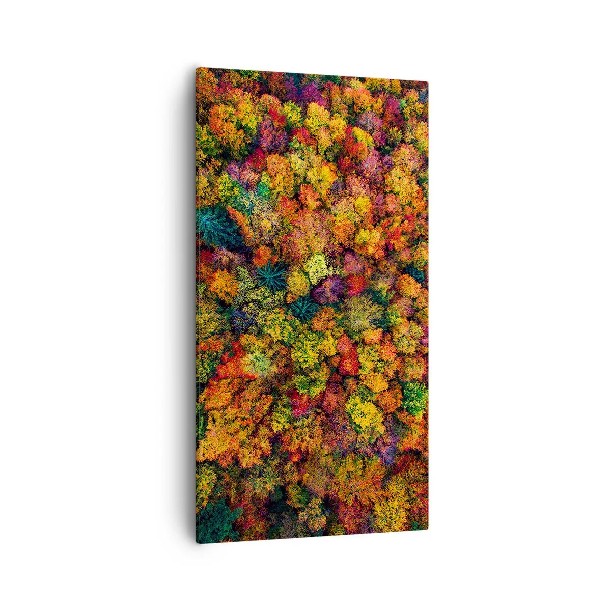 Cuadro sobre lienzo - Impresión de Imagen - Un ramo de árboles otoñales - 55x100 cm