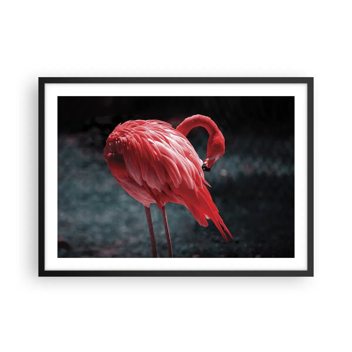 Póster en marco negro - Un flamenco rosa sobre un fondo verde oscuro. - 70x50cm - Un poema carmesí de la naturaleza - Decoración de pared moderna para salón y dormitorio ARTTOR