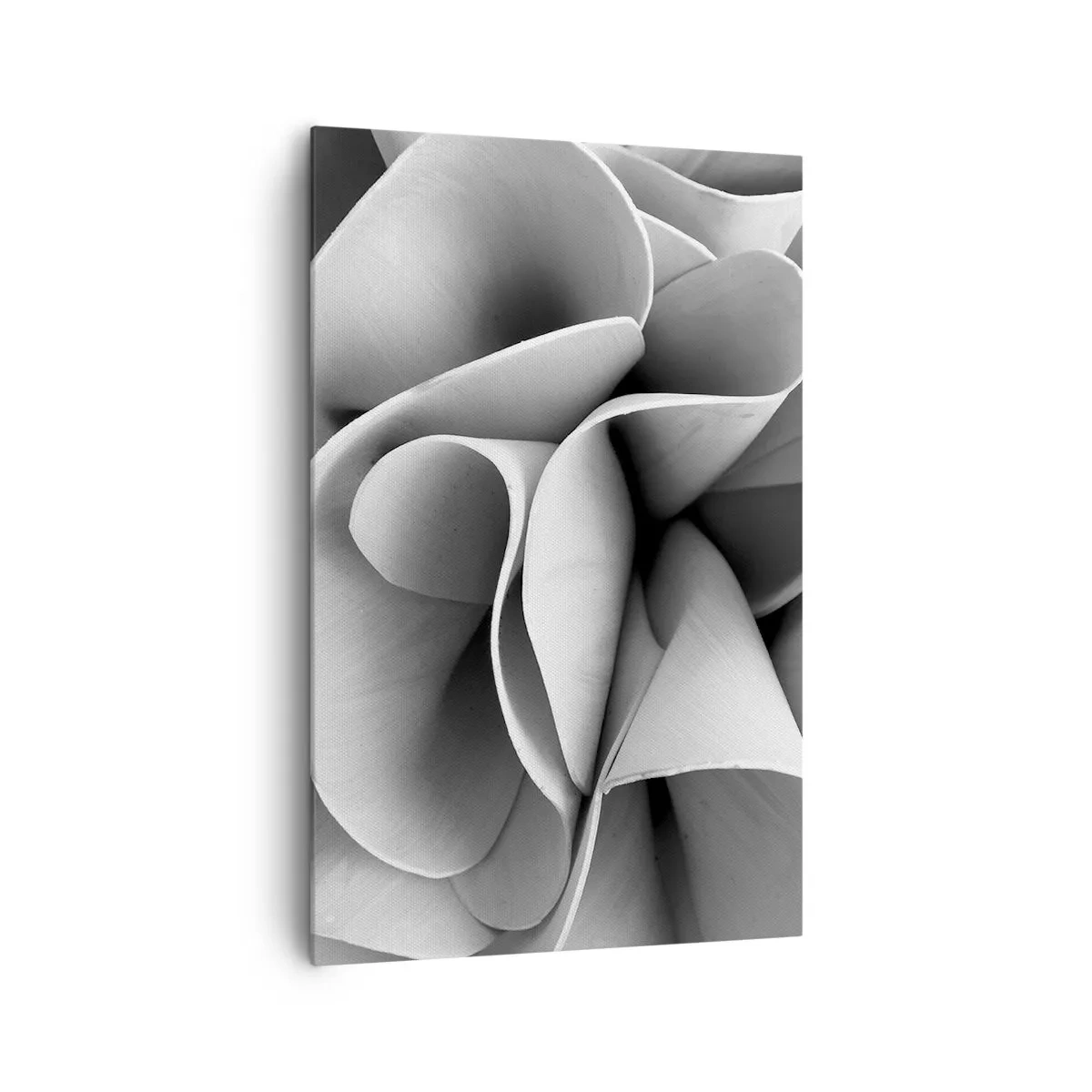 Cuadro sobre lienzo - Impresión de Imagen - Detalles en blanco y negro de formas abstractas. - 80x120cm - Sucede en el espacio - Decoración de pared moderna para salón y dormitorio ARTTOR