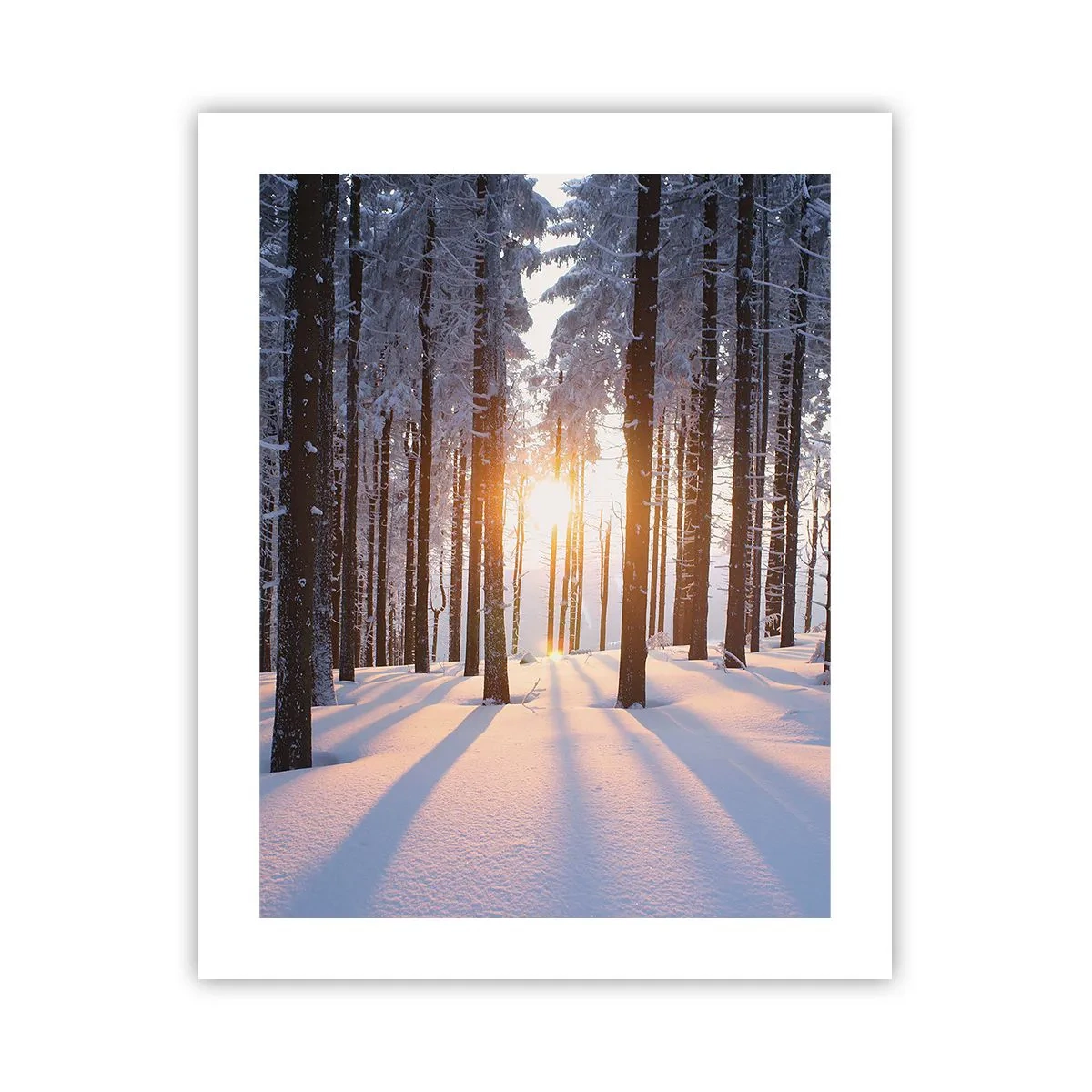 Póster - Claramente en blanco y negro - 40x50 cm