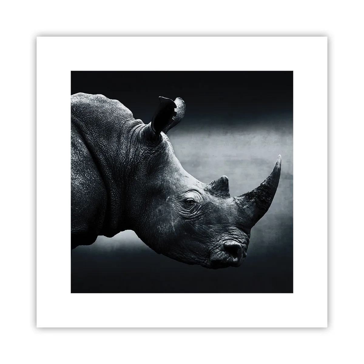 Póster - Perfil derecho - 30x30 cm