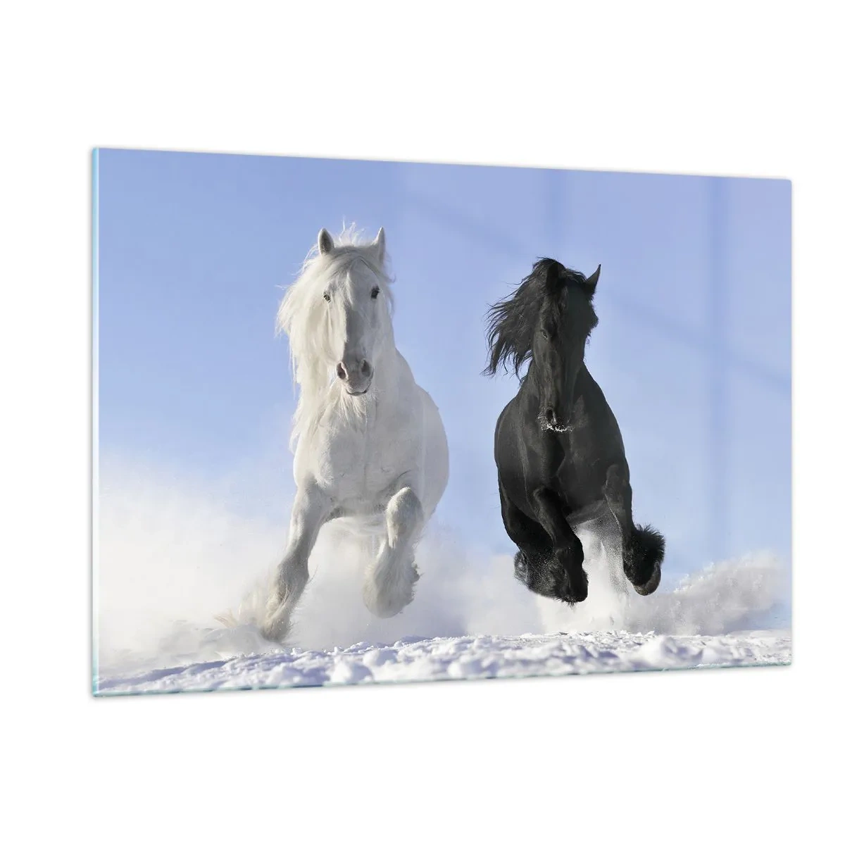 Cuadro sobre vidrio - Impresiones sobre Vidrio - Un caballo blanco y negro corriendo por la nieve en un paisaje invernal. - 120x80cm - Galope blanco y negro - Decoración de pared moderna para salón y dormitorio ARTTOR