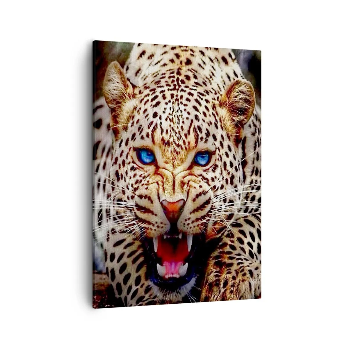 Cuadro sobre lienzo - Impresión de Imagen - Un leopardo amenazante con intensos ojos azules. - 50x70cm - La ira no daña la belleza - Decoración de pared moderna para salón y dormitorio ARTTOR