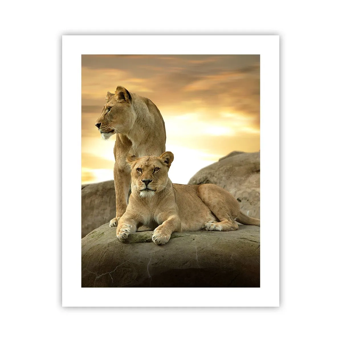 Póster - Majestuosidad real - 40x50 cm