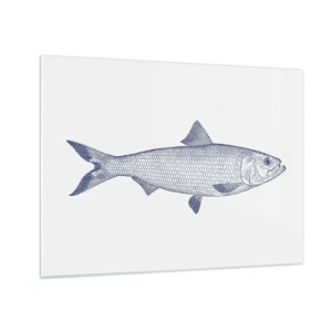 Cuadro sobre vidrio - Impresiones sobre Vidrio - Boceto de pez de estilo vintage sobre un fondo claro - 70x50cm - Saludos desde los mares del norte - Decoración de pared moderna para salón y dormitorio ARTTOR