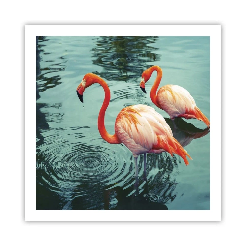 Póster - Estamos de moda - 60x60 cm