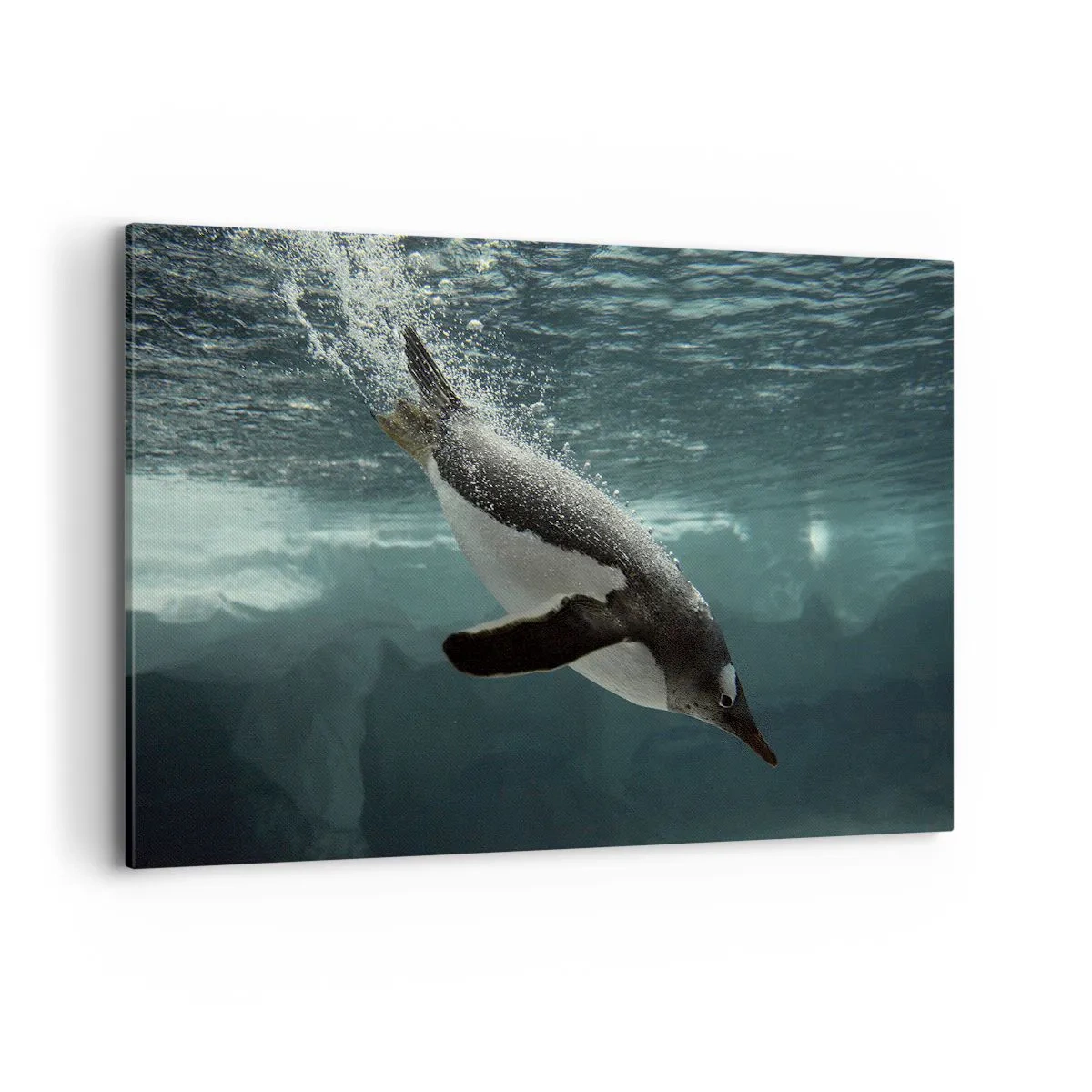 Cuadro sobre lienzo - Impresión de Imagen - Un pingüino sumergiéndose en las profundidades del agua helada. - 120x80cm - Bienvenido a mi mundo - Decoración de pared moderna para salón y dormitorio ARTTOR