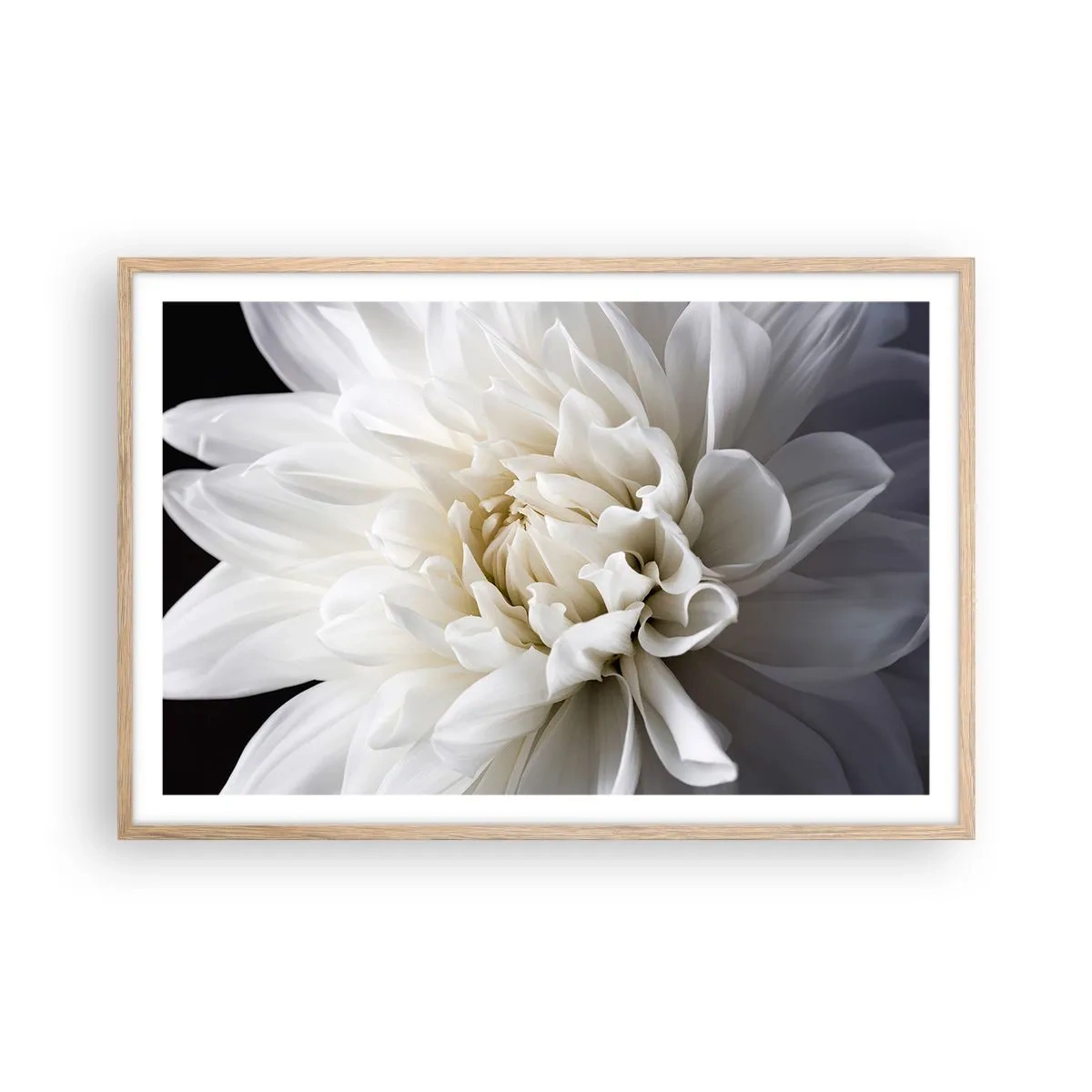 Póster en marco roble claro - La novia de la mañana - 91x61 cm