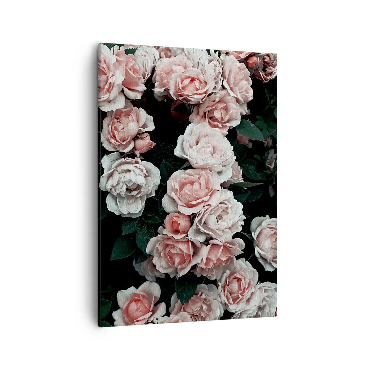 Cuadro sobre lienzo - Impresión de Imagen - Rosas rosadas sobre un fondo oscuro en una composición sutil. - 50x70cm - Conjunto de rosas - Decoración de pared moderna para salón y dormitorio ARTTOR