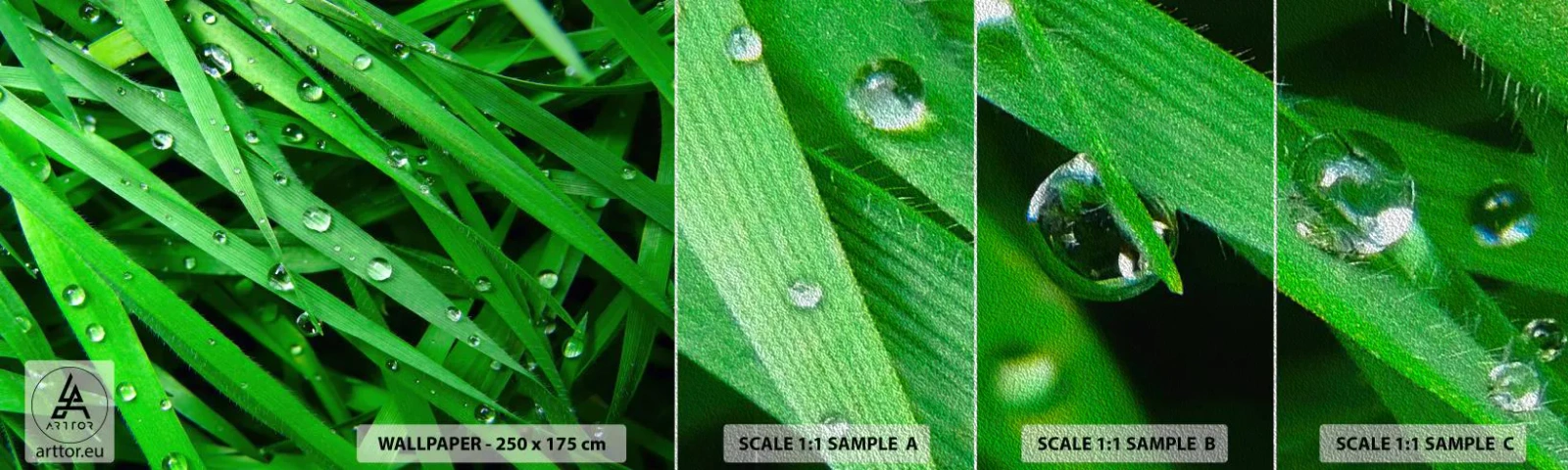 Muestra de fotomural Premium Sand - Jugar al verde - Naturaleza, Césped verde, Jardín - 100x30 cm