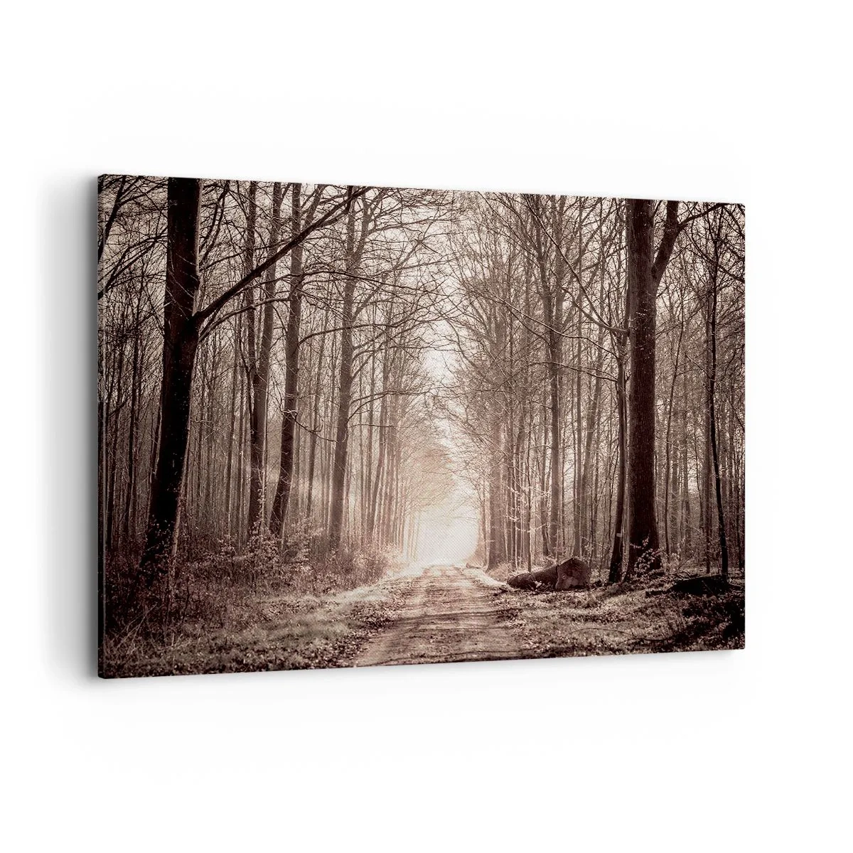 Cuadro sobre lienzo - Impresión de Imagen - Un sendero forestal entre árboles en tonos sepia. - 120x80cm - La catedral del bosque - Decoración de pared moderna para salón y dormitorio ARTTOR