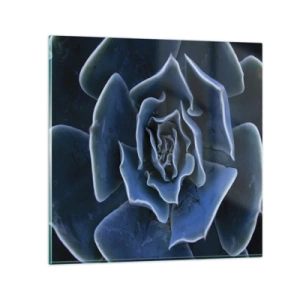 Cuadro sobre vidrio - Impresiones sobre Vidrio - Flor del desierto - 70x70 cm